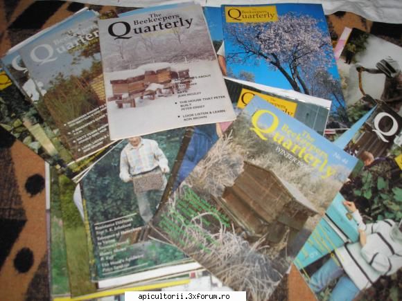 e o onoare si o indatorie sa spun citeva cuvinte despre � the beekeepers in urma cu 15 ani intr-o